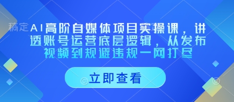 AI高阶自媒体项目实操课，讲透账号运营底层逻辑，从发布视频到规避违规一网打尽-加成