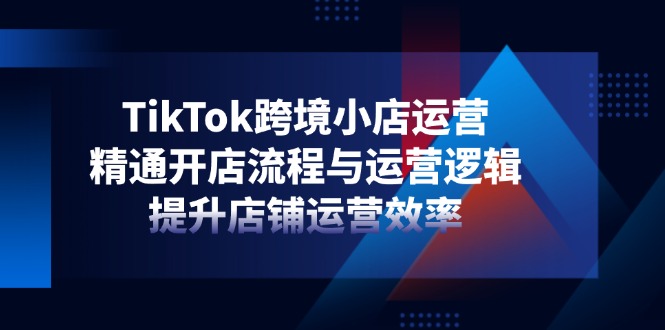 （14369期）TikTok跨境小店运营，精通开店流程与运营逻辑，提升店铺运营效率-加成