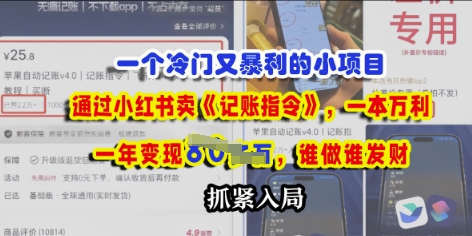一个冷门需求，通过小红书卖《记账指令》，一本万利，谁做谁发，抓紧入局-加成