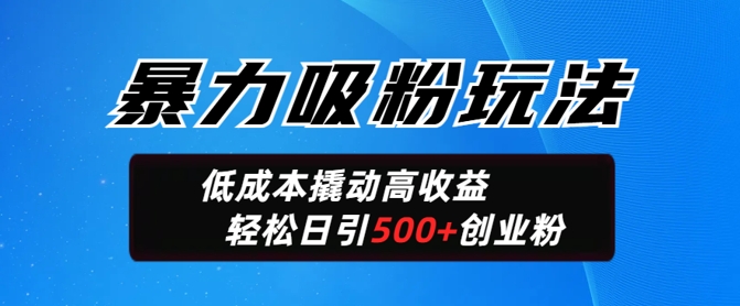 暴力吸粉玩法，日引500+精准创业粉，日变现轻松多张-加成