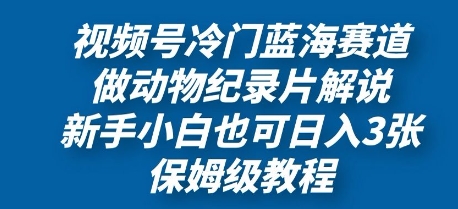 视频号冷门蓝海赛道，做动物纪录片解说，新手小白也日入3张，保姆级教程-加成