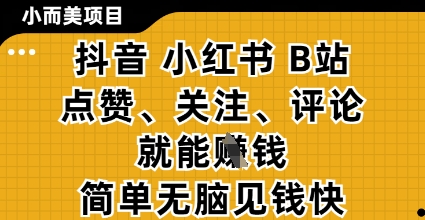 小而美的项目，抖音小红书B站视频点赞、关注、评论就能挣钱，简单无脑立见收益，妥妥的零撸项目【揭秘】-加成