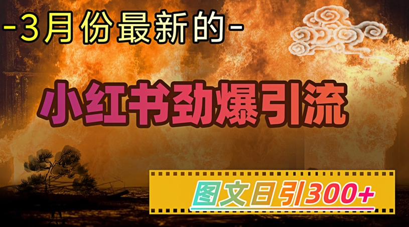 小红书超劲爆引流手段，图文日引300+轻松变现1W-加成