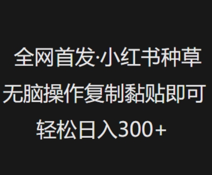 全网首发，小红书种草无脑操作，复制黏贴即可，轻松日入3张-加成