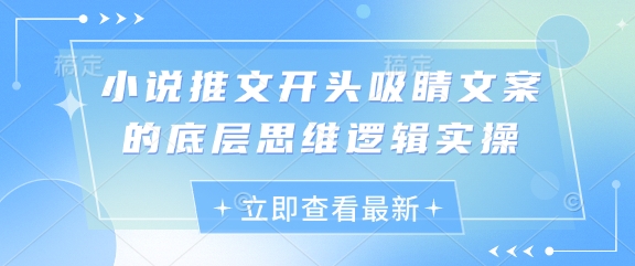 小说推文开头吸睛文案的底层思维逻辑实操-加成