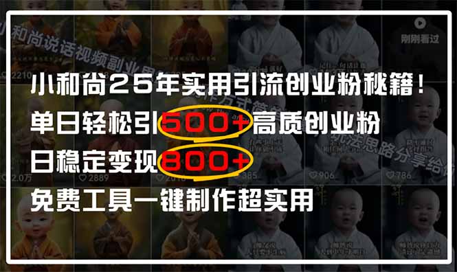 （14436期）小和尚2025年实用引流秘籍！单日轻松引500+高质量创业粉，日变现800+，...-加成