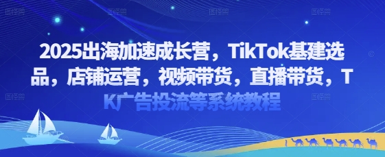 2025出海加速成长营，TikTok基建选品，店铺运营，视频带货，直播带货，TK广告投流等系统教程-加成