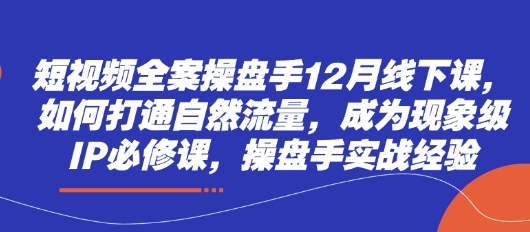 短视频全案操盘手12月线下课，如何打通自然流量，成为现象级IP必修课，操盘手实战经验-加成