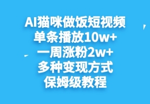 AI猫咪做饭短视频，单条播放10w+，一周涨分2w+，多种变现方式，保姆级教程-加成
