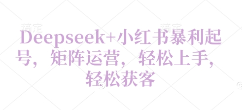 Deepseek+小红书暴利起号，矩阵运营，轻松上手，轻松获客-加成
