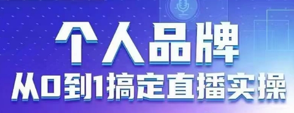 个人品牌：从0到1搞定直播实操，用直播为你的个人品牌赋能，六大实操板块，放大个人影响力-加成