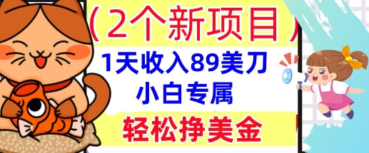 2个新项目，轻松挣美金， 1天收入89美刀，小白专属，干货分享-加成