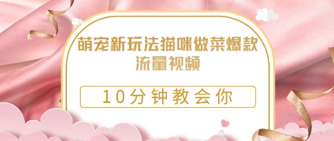 萌宠新玩法猫咪做菜爆款流量视频，10分钟教会你-加成