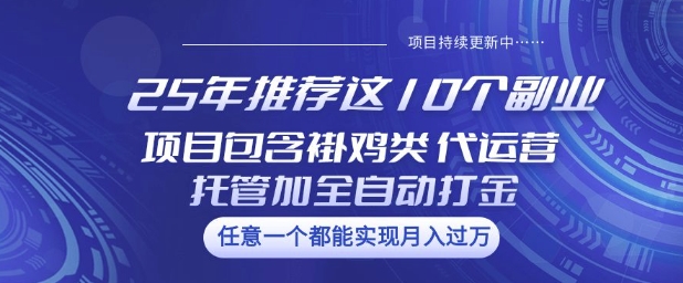 25年推荐这10个副业项目包含褂鸡类、代运营托管类、全自动打金类【揭秘】-加成