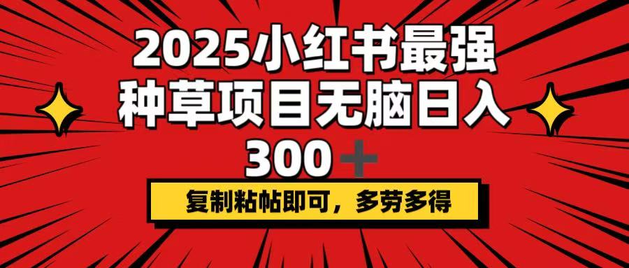 （14375期）2025小红书最强种草项目，无脑日入300+，复制粘帖即可，多劳多得-加成