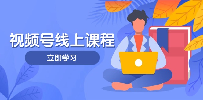 （14360期）视频号实战课程，轻IP打造与运营技巧，掌握核心方法与策略-加成