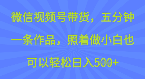 微信视频号带货，五分钟一条作品，照着做小白也可以轻松日入5张-加成