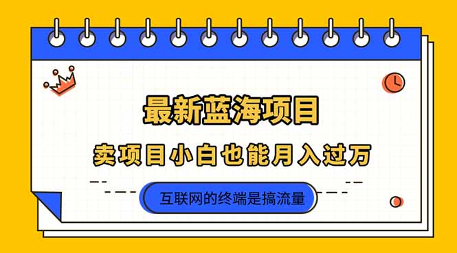 （14289期）2025年最新蓝海项目，卖项目小白也能月入过万-加成