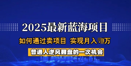 2025蓝海项目，普通人如何通过卖项目，实现月入过W，全过程【揭秘】-加成