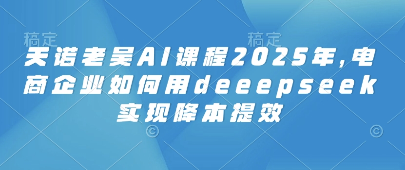天诺老吴AI课程2025年，电商企业如何用deeepseek实现降本提效-加成