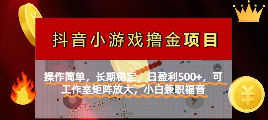 （14290期）【抖音小游戏发行人计划项目】操作简单，长期稳定，日盈利500+，可工作...-加成