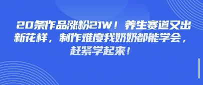 20条作品涨粉21W！养生赛道又出新花样，制作难度我奶奶都能学会，赶紧学起来-加成