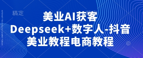 美业AI获客Deepseek+数字人-抖音美业教程电商教程-加成