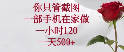 你只管截图，一部手机在家做，苹果安卓都可以，一小时120，一天5张+【揭秘】-加成