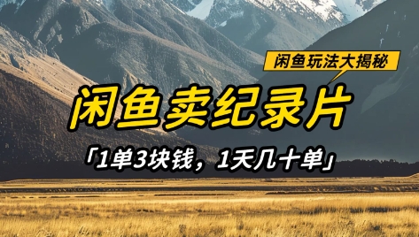 闲鱼卖纪录片1单3块钱，1天几十单，项目稳定有潜力-加成