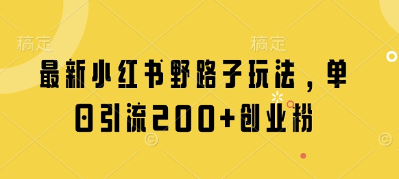 最新小红书野路子玩法，单日引流200+创业粉-加成