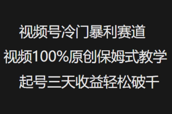 视频号冷门暴利赛道视频100%原创保姆式教学起号三天收益轻松破千-加成