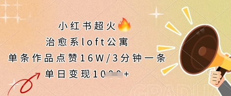 小红书超火的治愈系loft公寓，单条作品点赞16W，3分钟一条，单日变现数张-加成