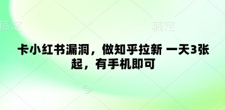 卡小红书漏洞，做知乎拉新 一天3张起，有手机即可-加成