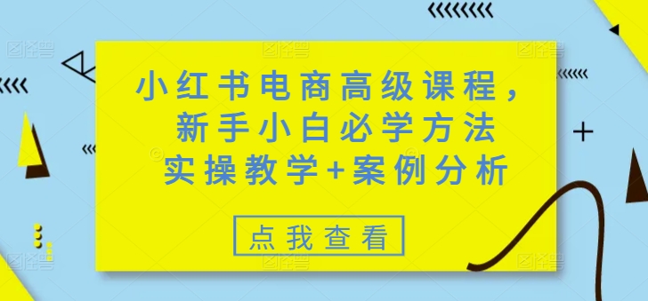 小红书电商高级课程，新手小白必学方法，实操教学+案例分析-加成