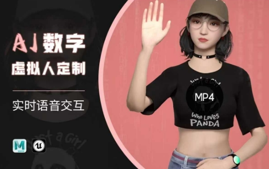 Ai数字人虚拟(智能体)实时语音交互特训营，​自行定制超写实角色AI数字人交互技术-加成