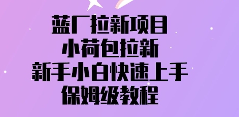 蓝厂拉新项目，小荷包拉新，新手小白快速上手，保姆级教程-加成