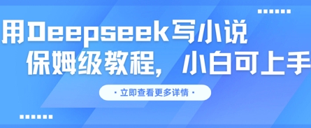 用Deepseek写小说，保姆级教程，小白可实操-加成