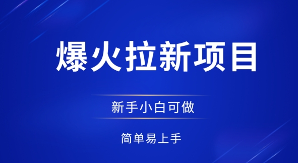 爆火拉新项目，有手就行，小白轻松入门，日入1张拉新整套流程-加成
