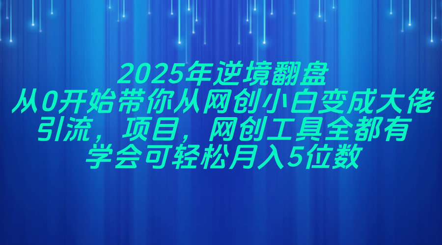 （14473期）2025年逆境翻盘，从0开始带你从网创小白变成大佬，引流，项目，网创工...-加成