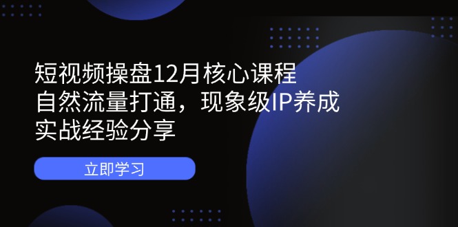 （14447期）短视频操盘12月核心课程：自然流量打通，现象级IP养成，实战经验分享-加成